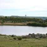 Diez Ovejas Rural