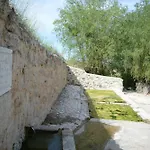 Diez Ovejas Rural