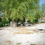 Diez Ovejas Rural *
