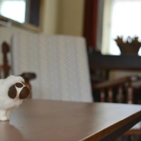 Сasa de vacaciones Diez Ovejas Rural Mambrilla de Castrejon