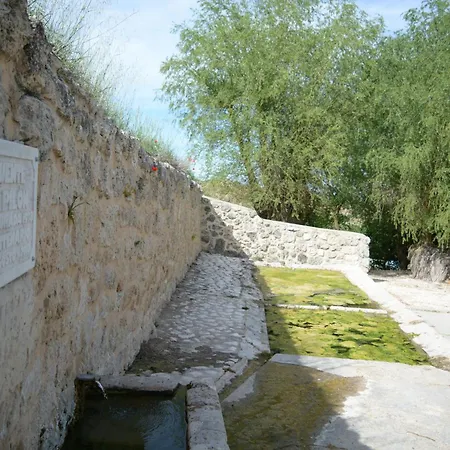 Diez Ovejas Rural