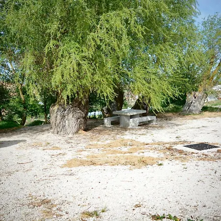 Diez Ovejas Rural *