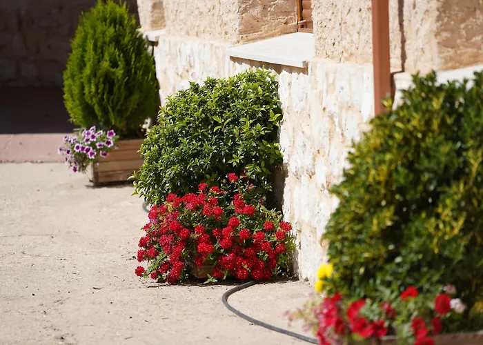 Diez Ovejas Rural Сasa de vacaciones